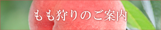 野澤観光園